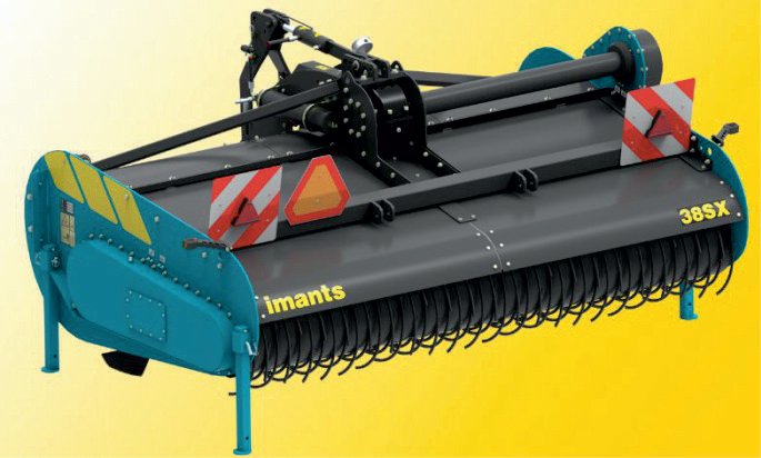 Imants